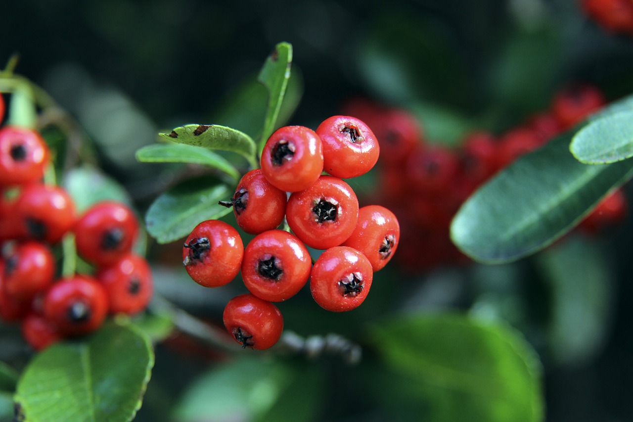 歐洲杯E組第3輪斯洛伐克0-5西班牙 莫拉塔失點托雷斯替補破門.