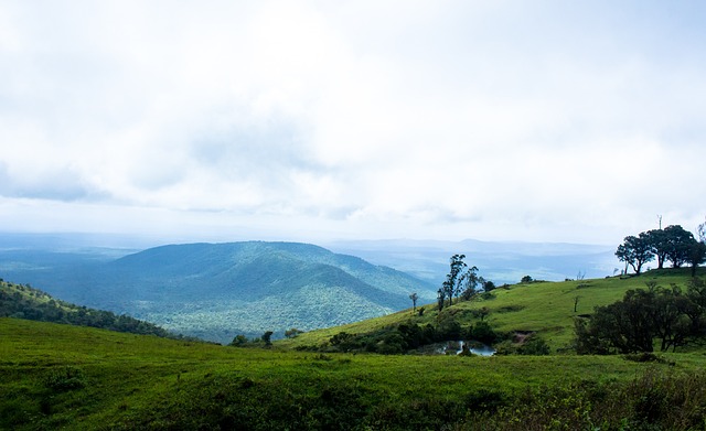 悬念丛生 悬念丛生