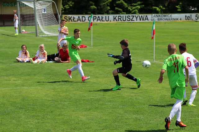 主裁判的多 主裁判的多