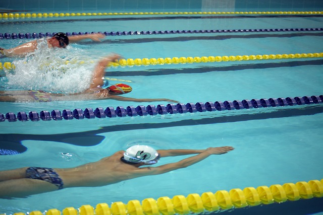 合作伙伴 合作伙伴