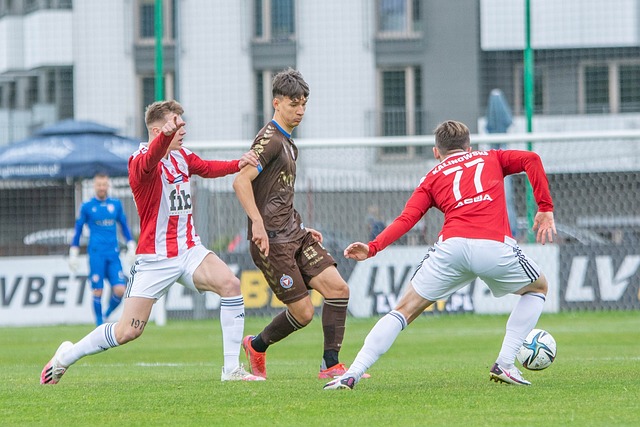 了绽放舞台 了绽放舞台